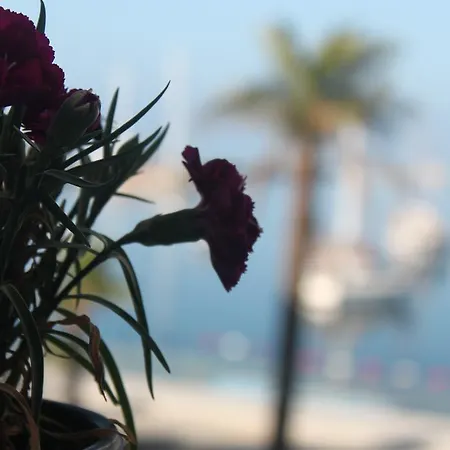 Capaci 2* Bodrum