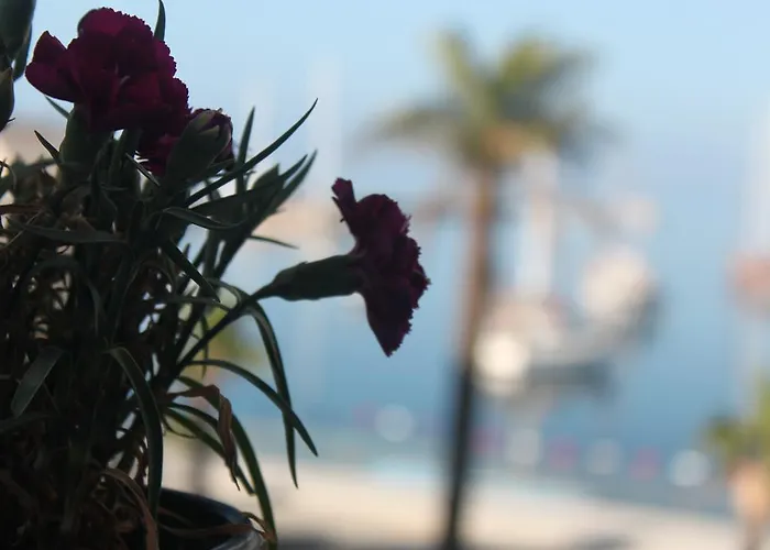 Capaci 2* Bodrum