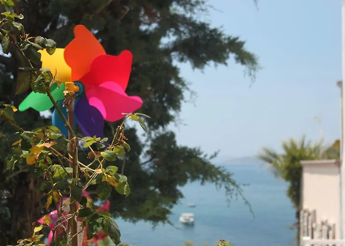 Capaci Bodrum